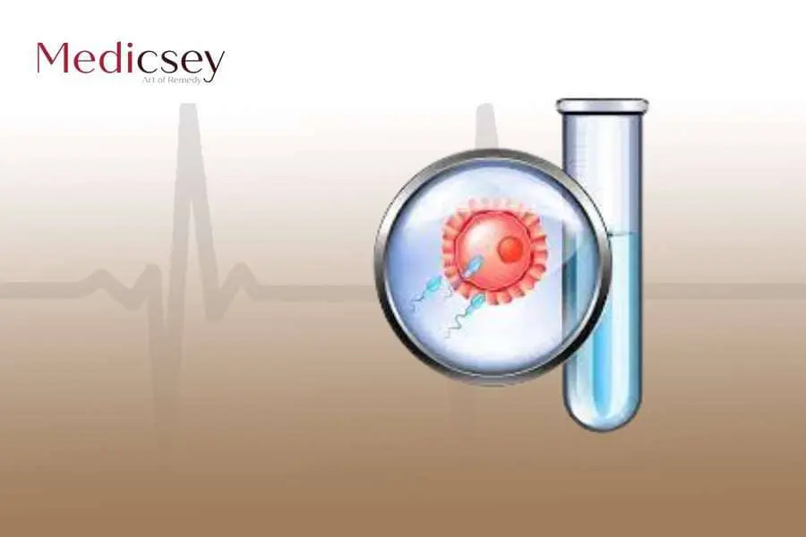 IVF in Turkey