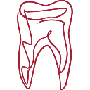 Dentistry & Oral Surgery